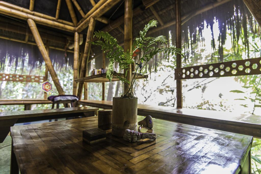 Universo Pol Bamboo Hostel مورو دي ساو باولو المظهر الخارجي الصورة