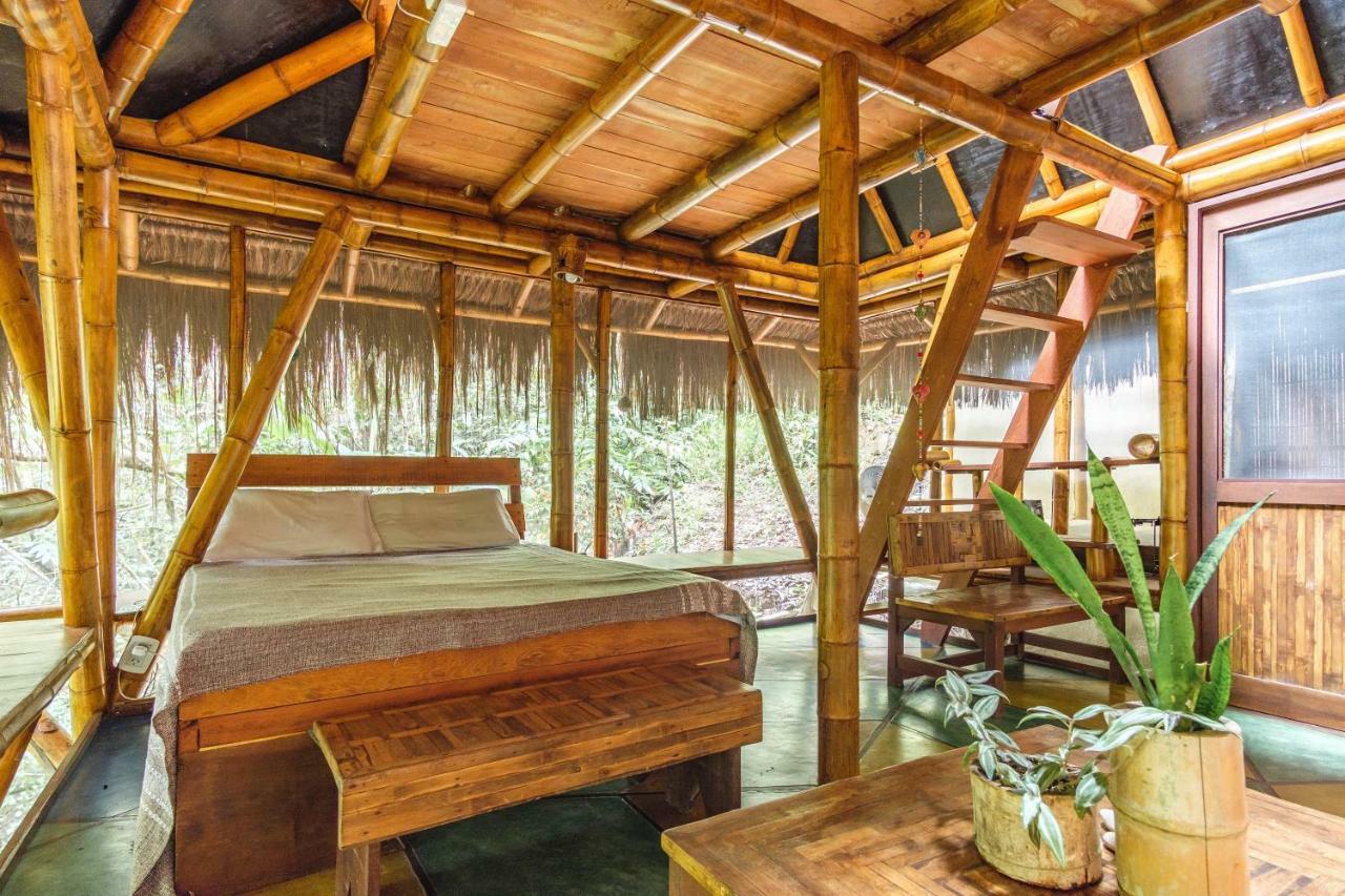 Universo Pol Bamboo Hostel مورو دي ساو باولو المظهر الخارجي الصورة