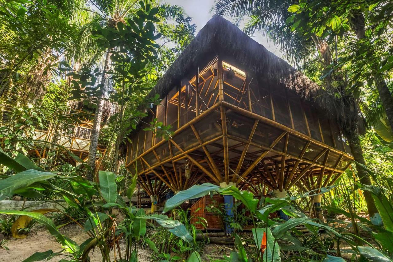 Universo Pol Bamboo Hostel مورو دي ساو باولو المظهر الخارجي الصورة