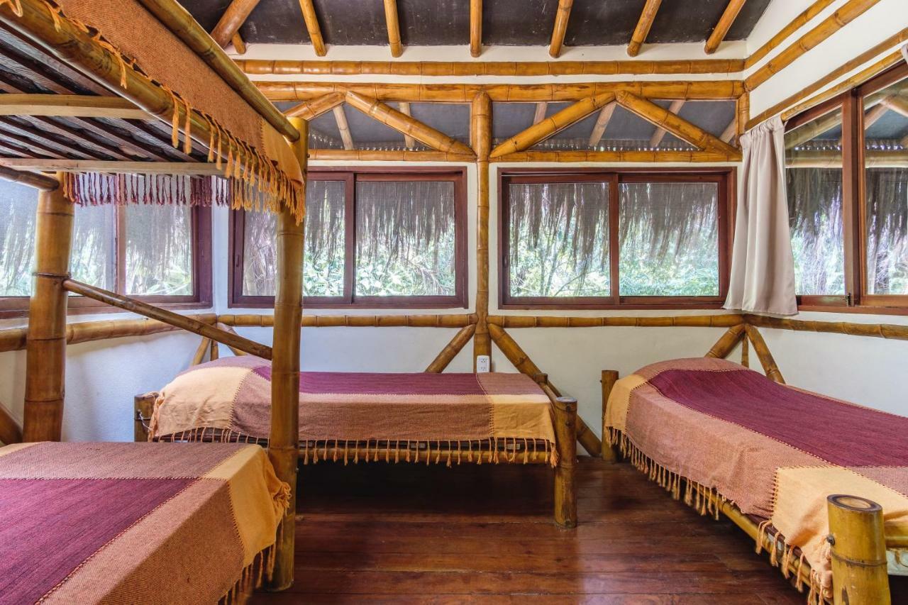 Universo Pol Bamboo Hostel مورو دي ساو باولو المظهر الخارجي الصورة
