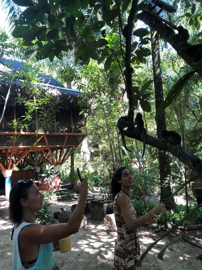 Universo Pol Bamboo Hostel مورو دي ساو باولو المظهر الخارجي الصورة